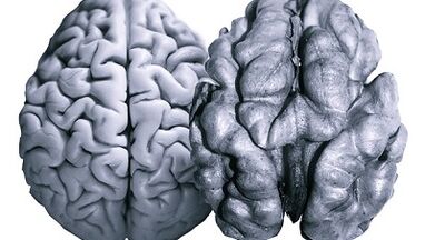Useful nuts for brain activity